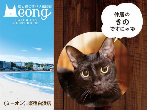 Hostal Bali & Cat Guest House