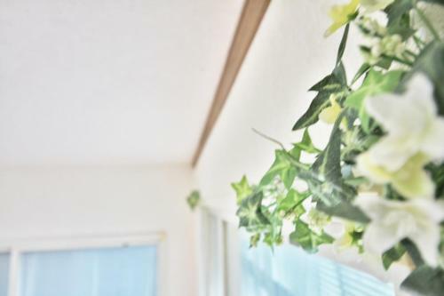 Hostal Lucky House Haneda