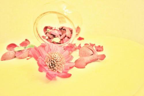 Hostal Lucky House Haneda