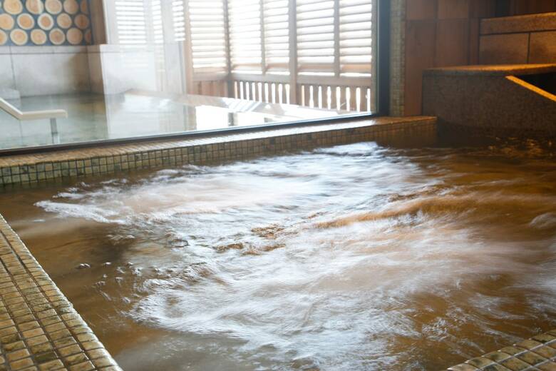 Hotel The Shiroyama Terrace Tsuyama Villa