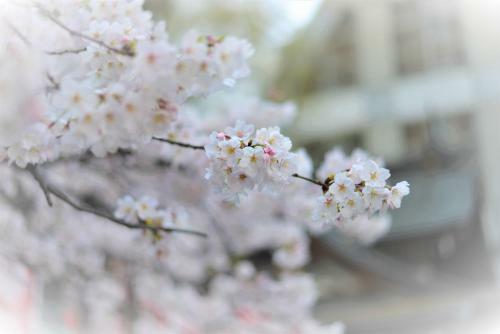 Aparthotel Hotel Plaza Umeshin Kitashinchi