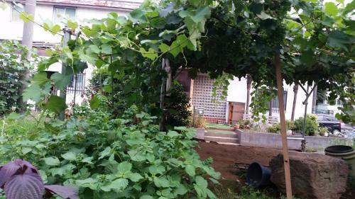 Hostal Higashi Matsudo Home, Narita Ap Direct