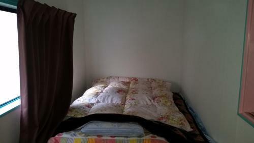 Hostal Higashi Matsudo Home, Narita Ap Direct