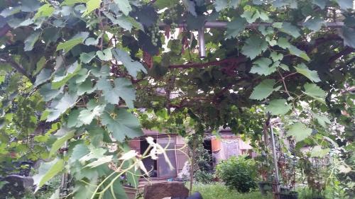 Hostal Higashi Matsudo Home, Narita Ap Direct