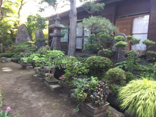 Hostal Daikokuya Mt.fuji