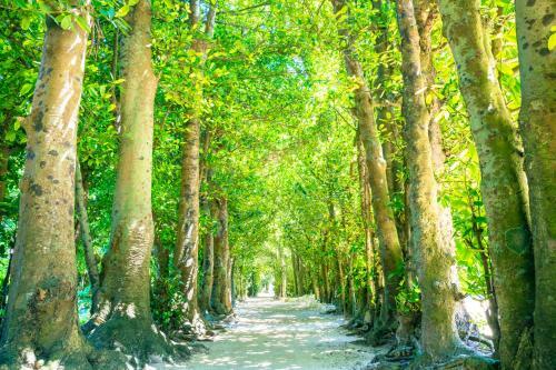 Agroturismo Inoha No Kaze
