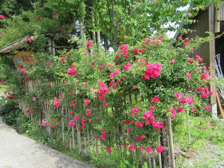 Agroturismo Nouka Minpaku Seiryuan