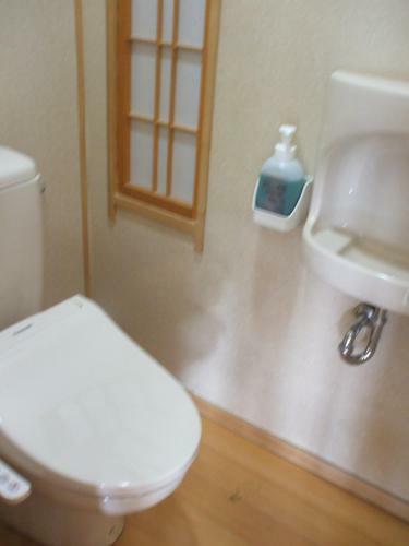 Annex Fujiya Ryokan