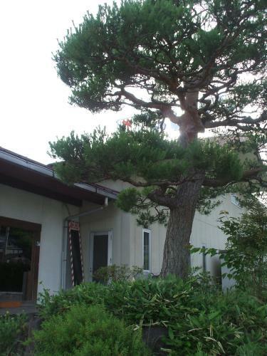 Annex Fujiya Ryokan