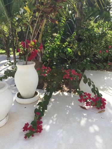 The Villa Luxury Suites Hotel