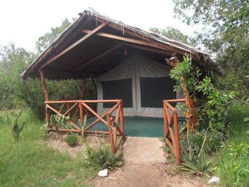 Crocodile Camp-masai Mara