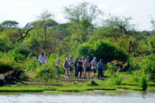 Voyager Ziwani Tented Camp