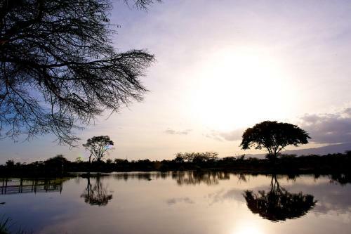 Voyager Ziwani Tented Camp