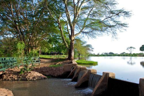 Voyager Ziwani Tented Camp