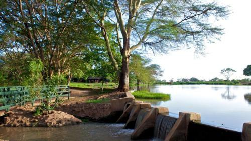 Voyager Ziwani Tented Camp