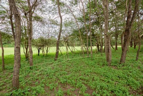 Hotel Sagana Getaway Resort