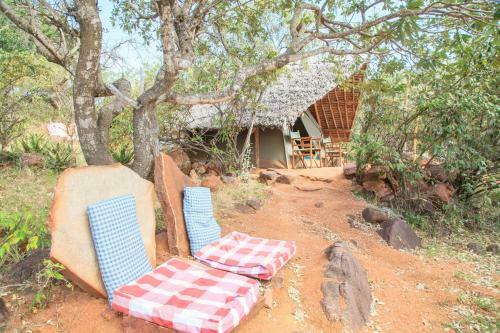 Maji Moto Eco Camp