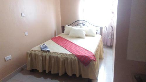 Hostal Palm Nest - Near Jkia