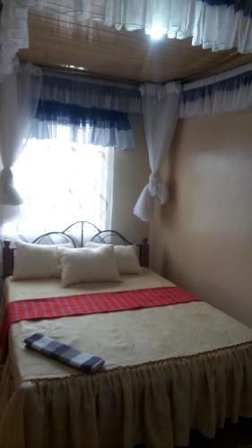 Hostal Palm Nest - Near Jkia