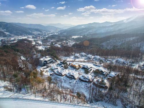 Mayfare Narsha Pyeongchang