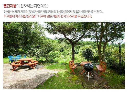 The Jeju Red Roof Pension