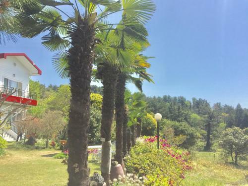 The Jeju Red Roof Pension