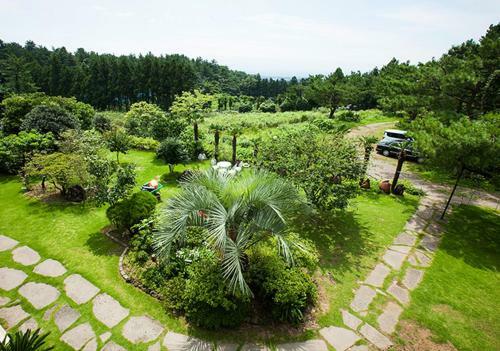 The Jeju Red Roof Pension