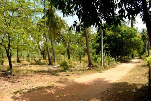 Hostal Yaswi Guest House