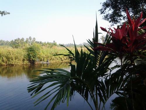 Bed & Breakfast Randoni Villa