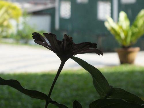 Hostal Hillsview Rest & Guest House