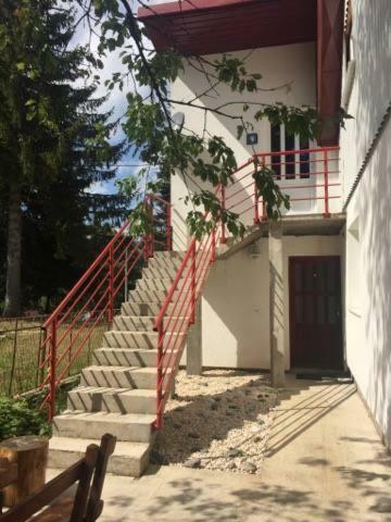 Apartments Grbovi?