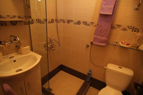 Deluxe Apartment Erdi