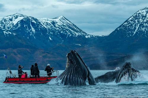 Skjerv�y Fiskecamp