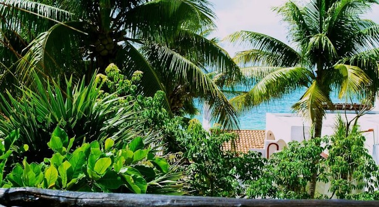 Hotel Pelicano Inn
