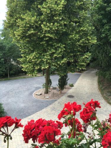 Agroturismo W Starym Sadzie