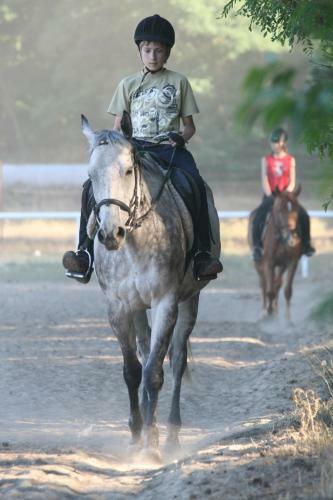 Hostal Nadwarcia?ski Dworek M?odzikowo
