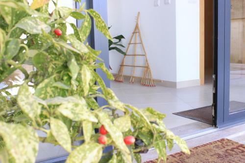 Hostal Nascente Do C�a Turismo Rural