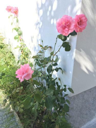 Casinha Da Vila