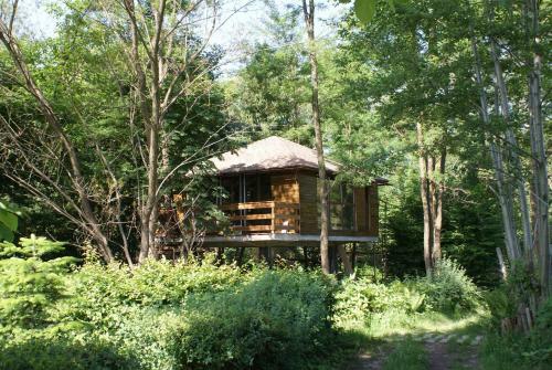 Porumbacu Treehouse