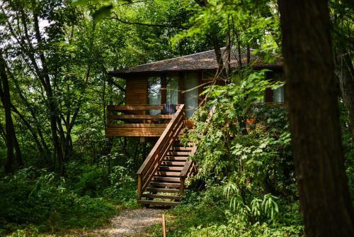Porumbacu Treehouse