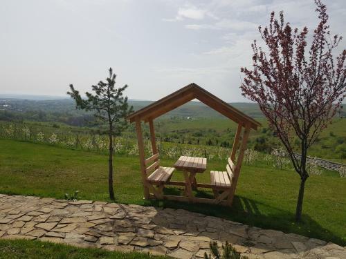 Sat de Vacanta Ciprian Porumbescu