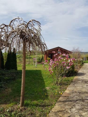 Sat de Vacanta Ciprian Porumbescu