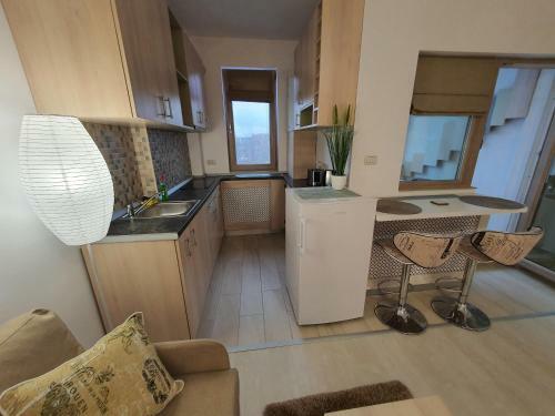 Apartamento Garsoniera Lux Fundeni
