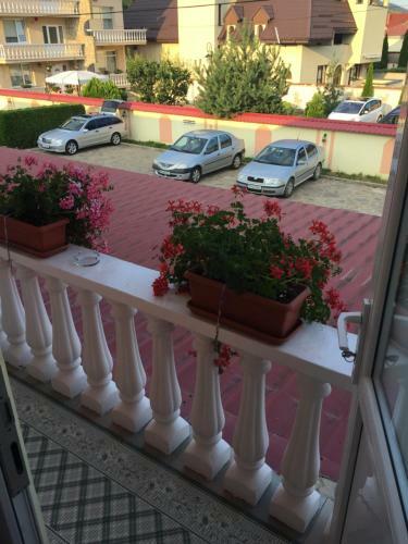 Hostal Pensiunea Flora