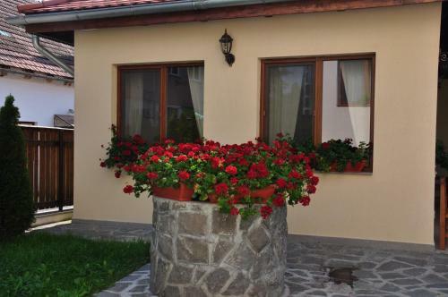 Aparthotel Anna Apartmanh�z