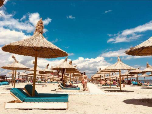 Apartamento Yvo Lioness & Mamaia Nord