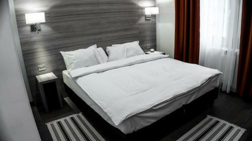 Hotel Pensiunea Negoiu