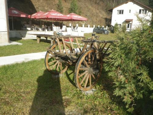 Hostal Pensiunea La Rachitele
