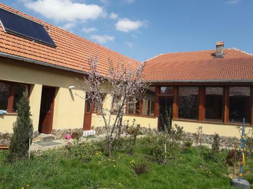 Hostal Pensiunea Ana-dragusana