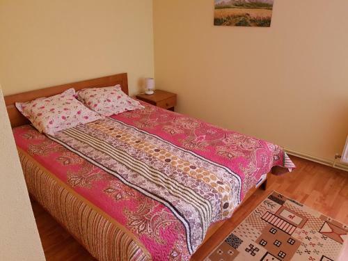 Hostal Pensiunea Ana-dragusana